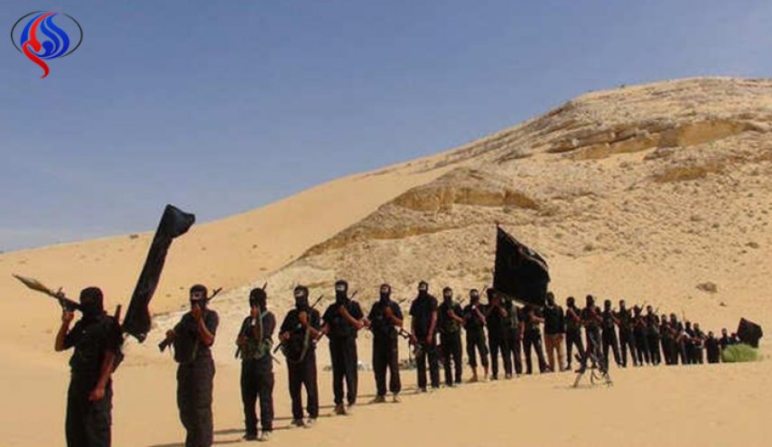  مكافحة الارهاب أم التعاون مع داعش!