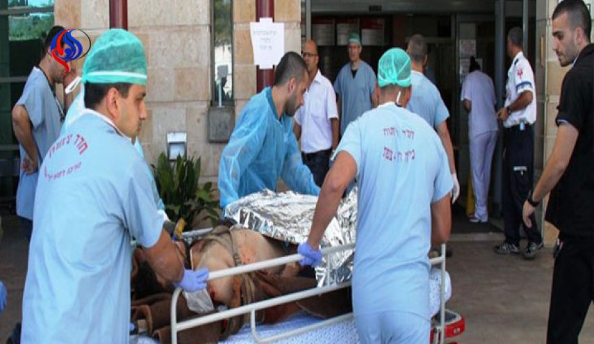 فيروس “النيل الغربي” يثير هلع الإسرائيليين!
