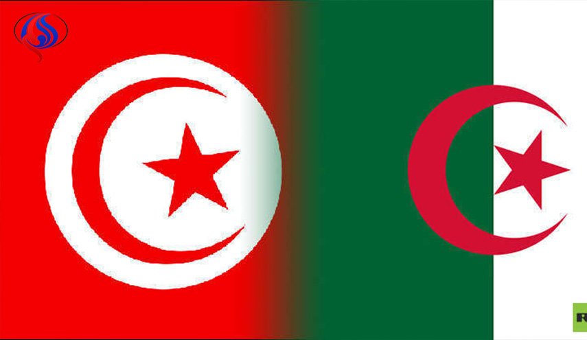 وزارة الصحة التونسية تؤكد عدم تسجيل أي إصابة بالكوليرا والمغرب يرفع حالة التأهب