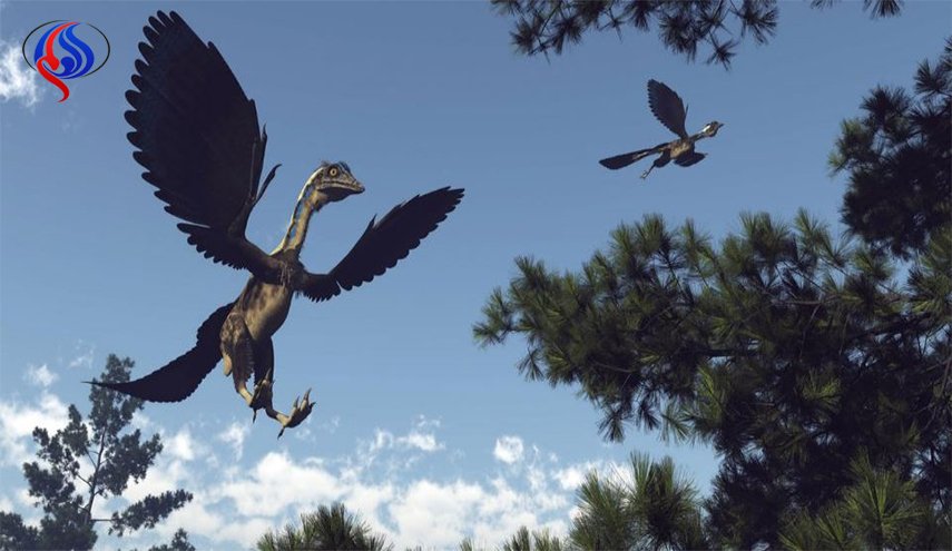 علماء بريطانيون: طيور اليوم ديناصورات الأمس