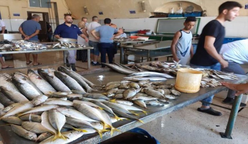 احذروا.. هذه السمكة قاتلة في الأسواق اللبنانية+صور