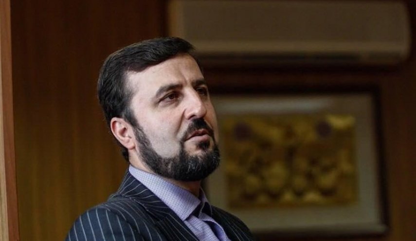 نماینده ایران در آژانس خواستار فشار مداوم بر اسرائیل برای پیوستن به ان‌پی‌تی شد