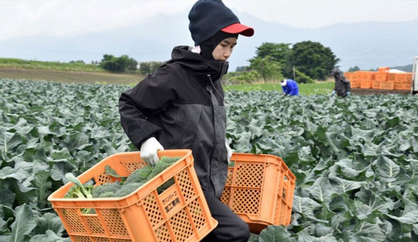 اليابان تفتح باب الهجرة إليها لدخول العمالة الأجنبية