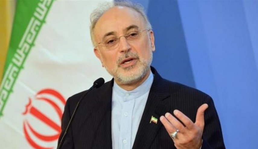 صالحي: يمكننا إثبات أحقية إيران عبر القدرات العلمية