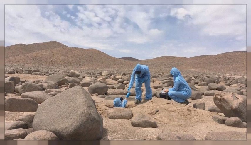 اكتشاف يغير ملامح الصحراء الأكثر جفافا في العالم!
