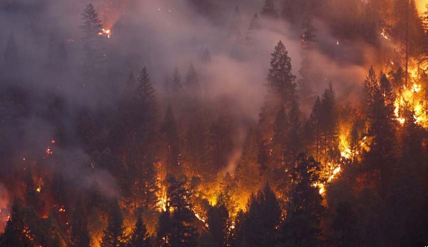 ارتفاع عدد قتلى حرائق غابات كاليفورنيا إلى 42 شخص