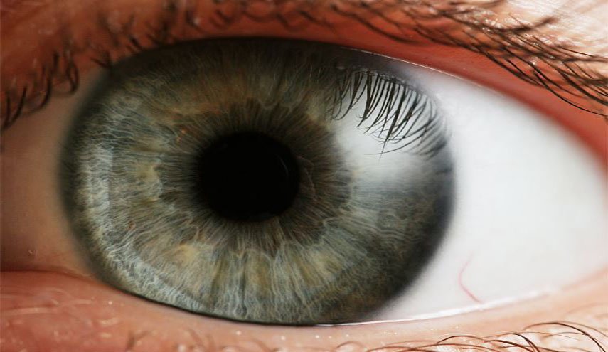 العثور على بروتينات قاتلة في العين البشرية