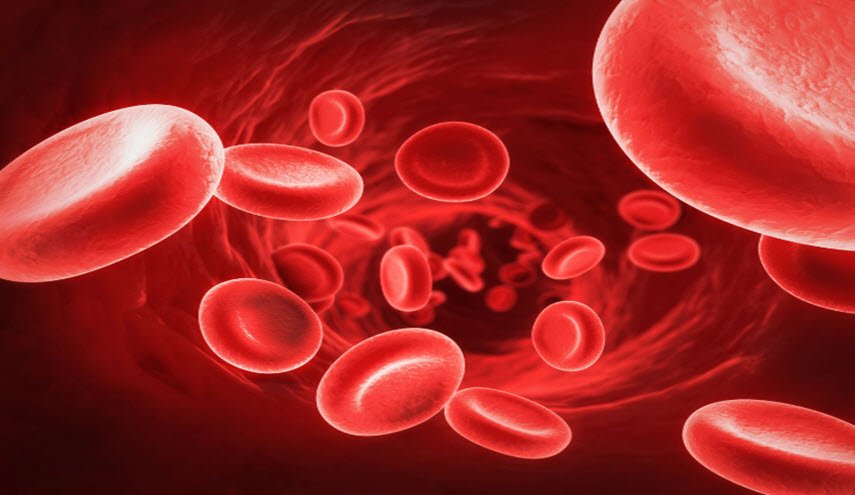 7 أطعمة تساعد في علاج أنيميا فقر الدم سريعا!