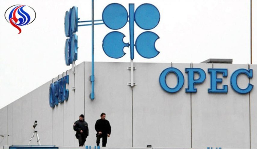قرار قطر بشأن اوبك.. ومستقبل أسعار النفط