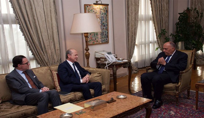 مصر وفرنسا تحذران من خطورة التصعيد في سوريا