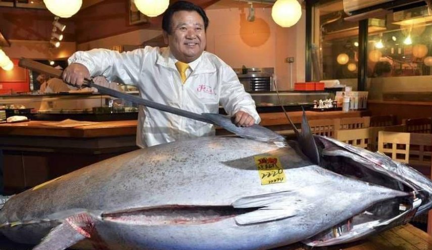 سعر خيالي لاغلى سمكة تونة في العالم!