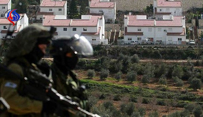صهیونیست ها 172 هکتار از اراضی فلسطینی ها را مصادره می کنند