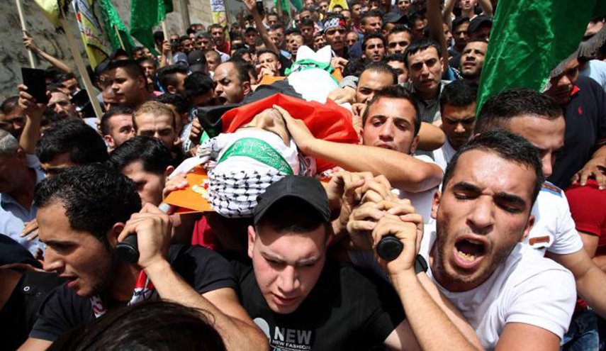 الاحتلال يعترف بقتل 290 فلسطينييا خلال 2018

