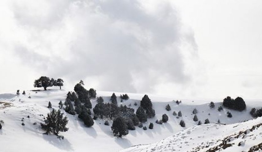 کاهش 10 درجه ای دما در برخی مناطق کشور
