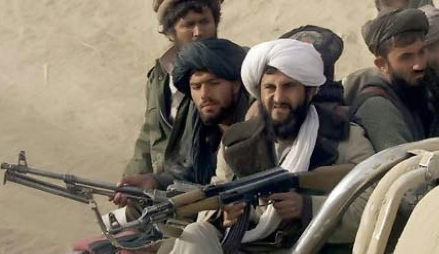 350 عضو طالبان در یک هفته گذشته کشته شدند