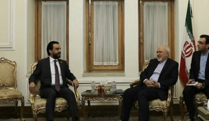 رایزنی ظریف و رئیس مجلس عراق در تهران
