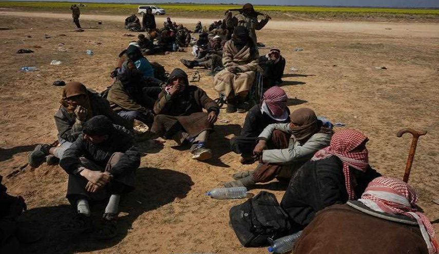 علف خواری و زندگی میان اجساد؛ عاقبت سخت داعشی ها در الباغوز