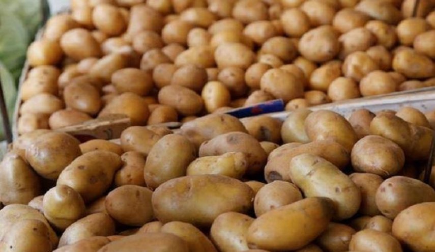 البطاطا المصرية تصل الى مرفأ طرطوس
