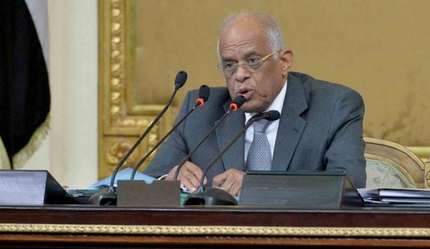رئيس البرلمان المصري يرفض مقترح سحب الجنسية من معارضي التعديلات الدستورية
