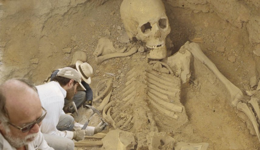 أسنان عمرها 240 ألف سنة تكشف عن سلف بشري