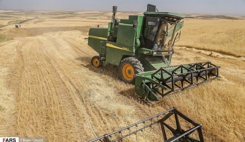 إيران تتوقع فائضا في انتاج القمح بـ 1.2 مليون طن