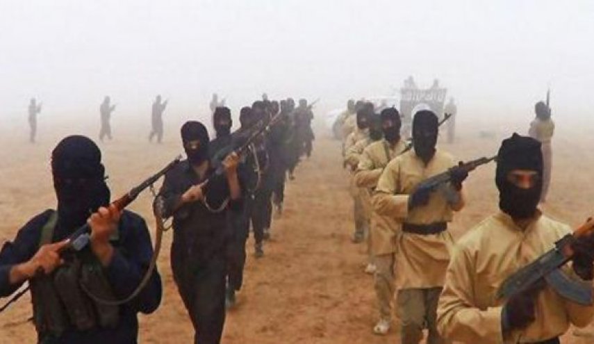 شاهد.. ابرز 5 حقائق عن المجموعات الإرهابية في سيناء
