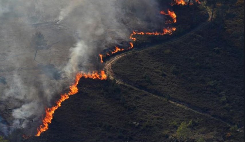 المئات من قوات الإطفاء يكافحون الحرائق بوسط البرتغال