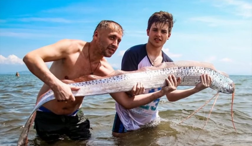 شاهد السمكة التي تنبئ بقدوم الكوارث في روسيا!