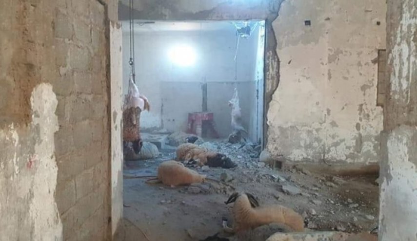 شاهد.. قصف لحفتر على طرابلس لم تسلم منه أضاحي العيد 