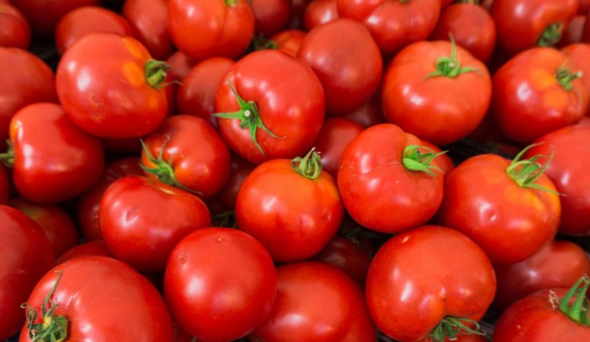 أهم فوائد تناول  الطماطم لجسم الإنسان 