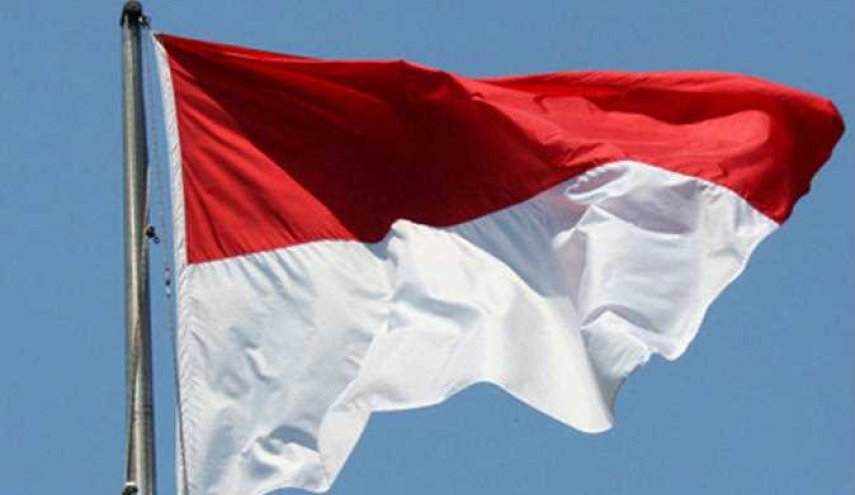 إندونيسيا تأمل بزيادة التعاون مع روسيا