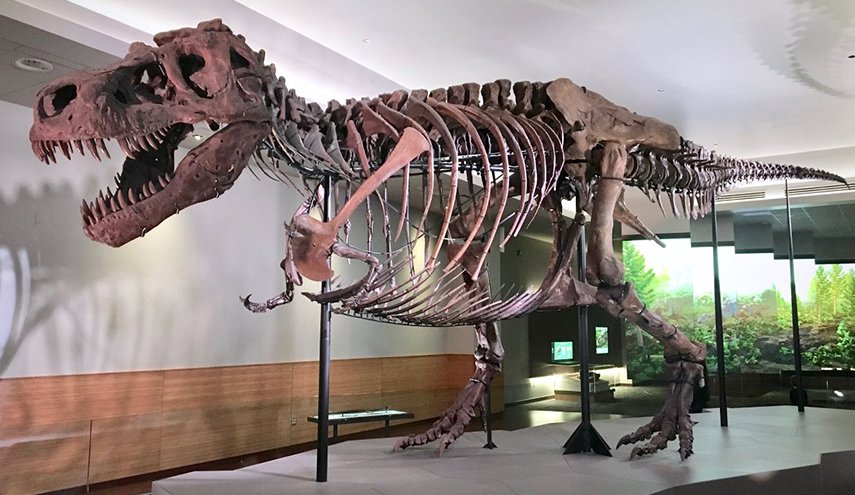 بالصورة.. الكشف عن آخر 15 دقيقة في حياة الديناصورات قبل الانقراض