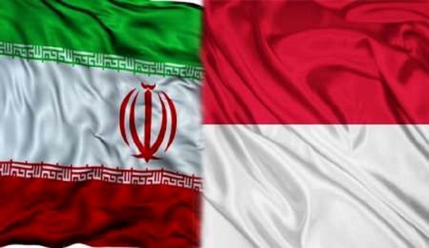اندونيسيا ترغب بتعزيز التعاون مع ايران في قطاعي صناعة الادوية وخلايا المنشأ