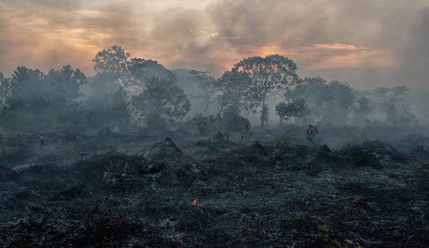 إندونيسيا تغلق 30 شركة بسبب حرائق الغابات