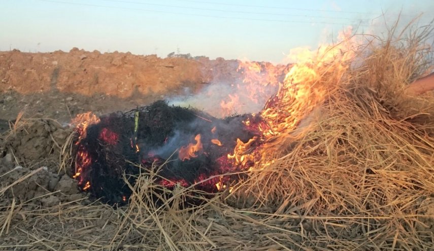 مصر تستخدم الأقمار الصناعية لرصد وكشف أماكن حرق قش الأرز