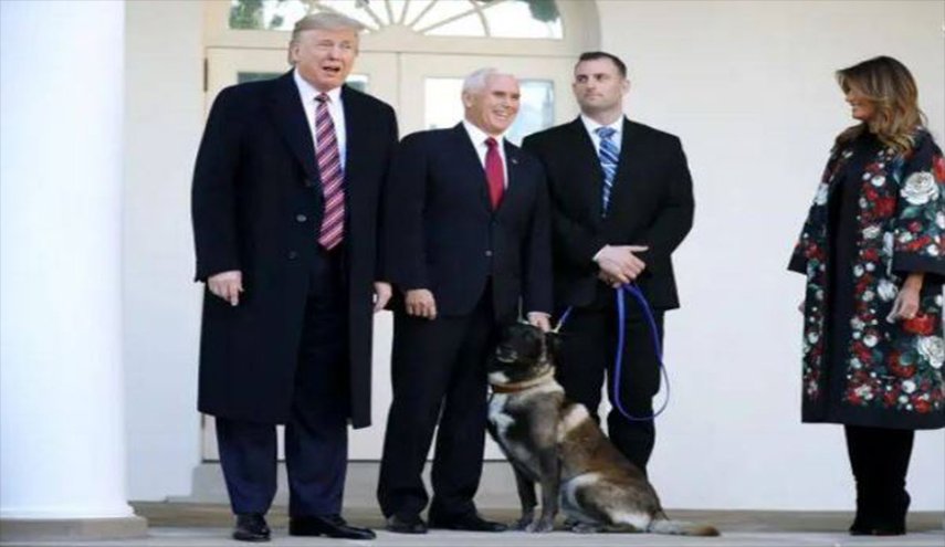 دیدار ترامپ با سگی که در عملیات کشتن البغدادی استفاده شد!