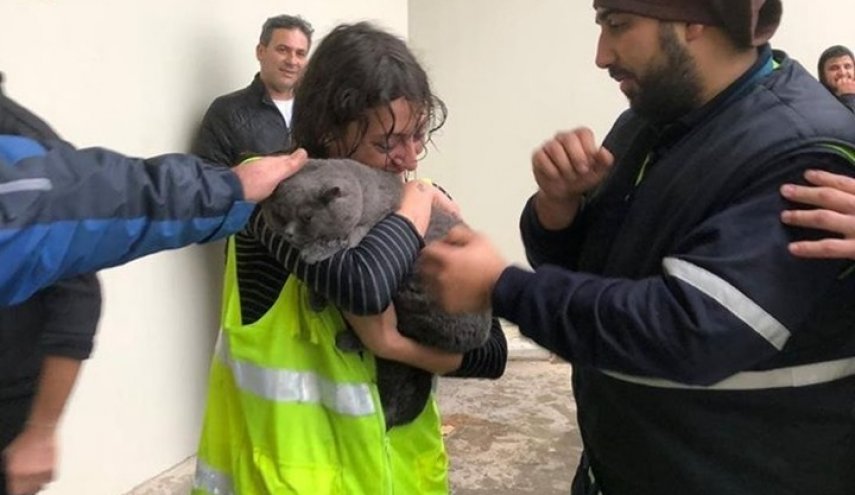 بالصورة.. قط يربك مطار بيروت ويؤخر إقلاع طائرة