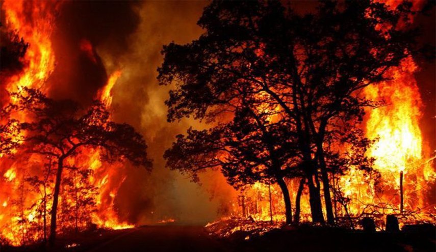 استراليا تأمر بإخلاء بلدتين بسبب تزايد حرائق الغابات
