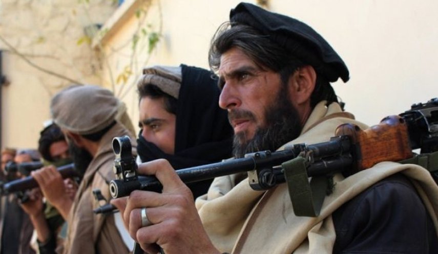 طالبان تأمر جميع مقاتلينها بالتوقف عن شن أي هجوم