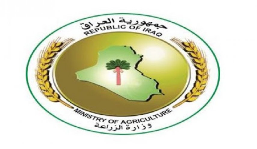 الزراعة العراقية تكشف عن خطة لتوفير المحاصيل بعد غلق الحدود
