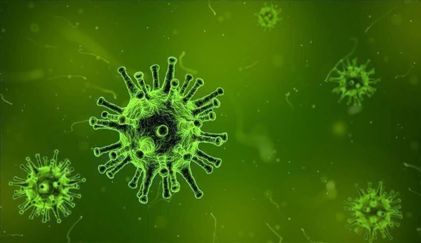 العلماء يكشفون طريقة تخفي كورونا ويحددون نقطة ضعفه