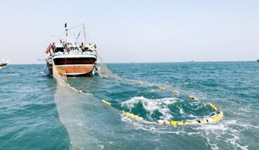 توقيف 34 سفينة بمياه ايران الجنوبية تقوم بعمليات صيد غير مشروعة