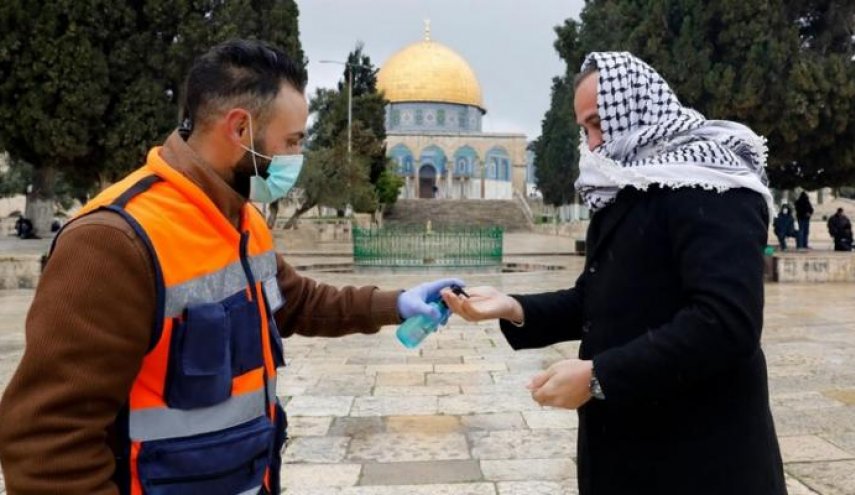 لليوم الثاني .. لا إصابات جديدة بكورونا في فلسطين 