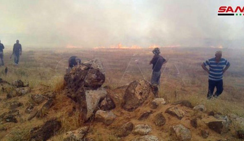 شاهد..إخماد حريق كبير على الحدود السورية الأردنية
