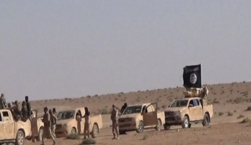 ادعای منابع اطلاعاتی غرب: داعش در حال تجدید قوا است
