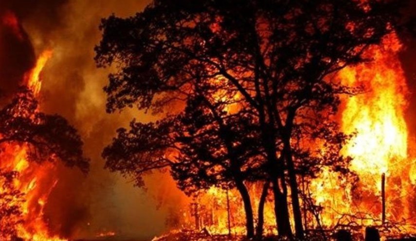 تاکید روحانی بر مهار آتش سوزی جنگل های زاگرس با استفاده از همه امکانات ارتش و محط زیست