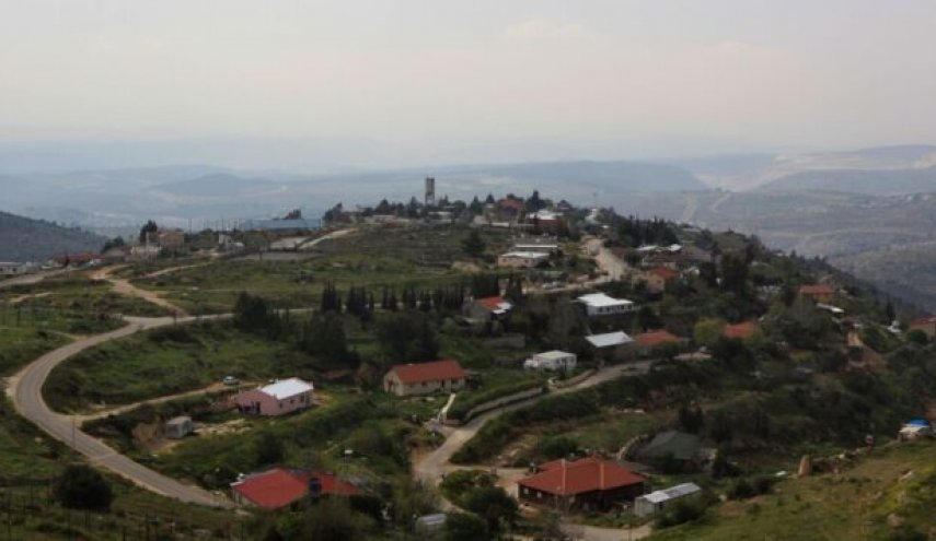 أبو ردينة: لدينا عشرة أيام حاسمة لتحديد مصير 'عملية السلام'