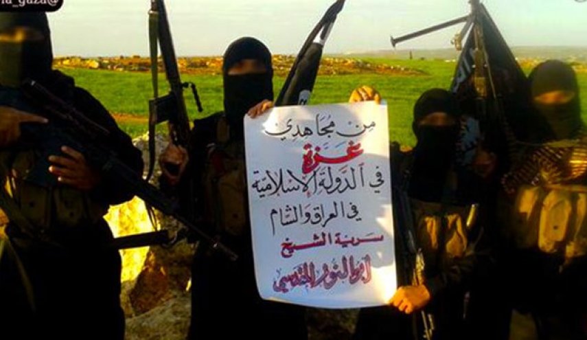 الاخبار| جزئیات جذب عناصر داعش توسط صهیونیست‌ها برای ضربه به مقاومت فلسطین