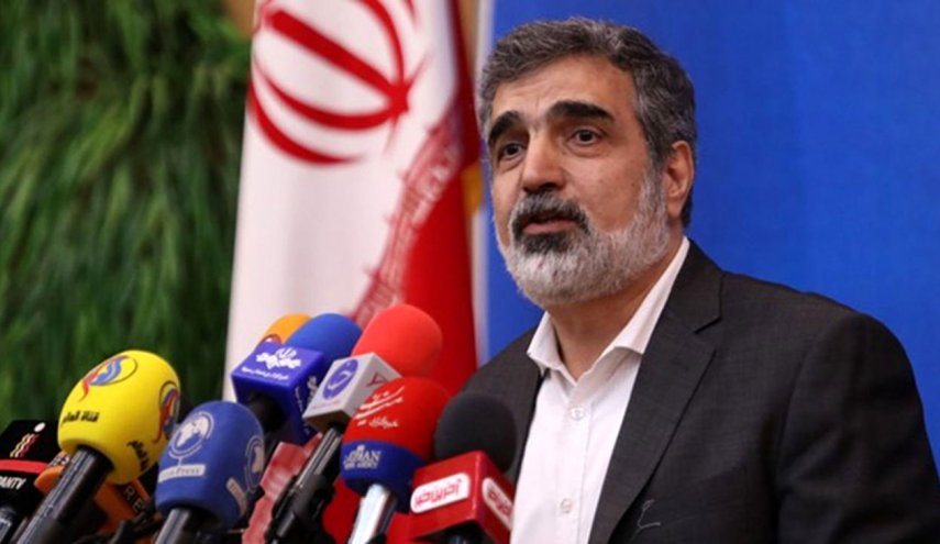 كمالوندي: ايران مستعدة للتعاون مع الدول الاخرى في مجال التكنولوجيا النووية