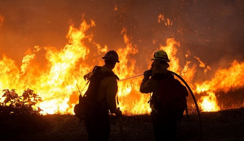 20 هزار هکتار از جنگل‌های کالیفرنیا سوختند؛ تصویب بودجه اضطراری برای مهار آتش‌سوزی
